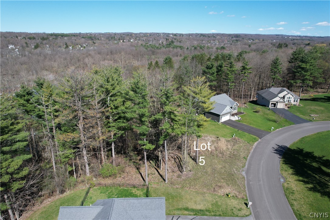 4638 Lot 5 Pauli Drive, Manlius, New York image 14