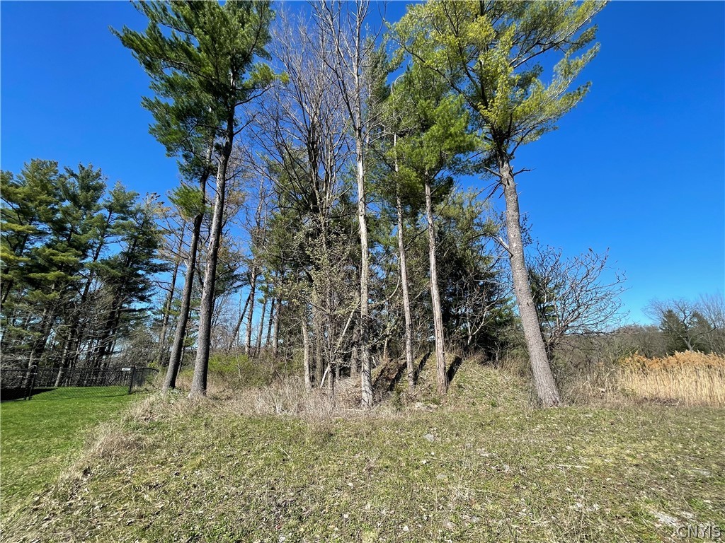 4638 Lot 5 Pauli Drive, Manlius, New York image 7