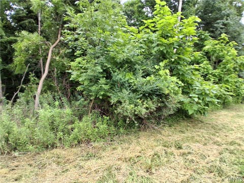 Tiny photo for 108 Skye Island Drive, Union, NY 13760 (MLS # S1702868)