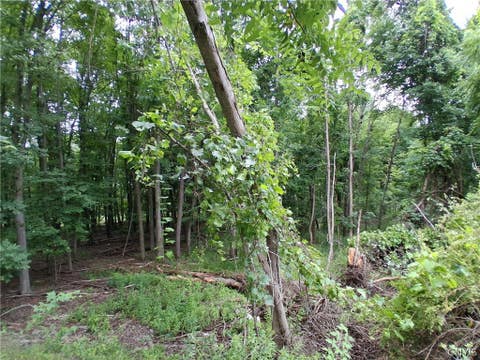 Photo of 108 Skye Island Drive, Union, NY 13760 (MLS # S1702868)