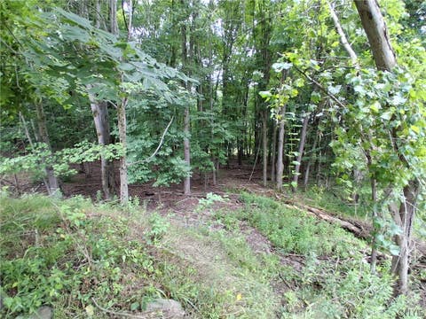Tiny photo for 108 Skye Island Drive, Union, NY 13760 (MLS # S1702868)