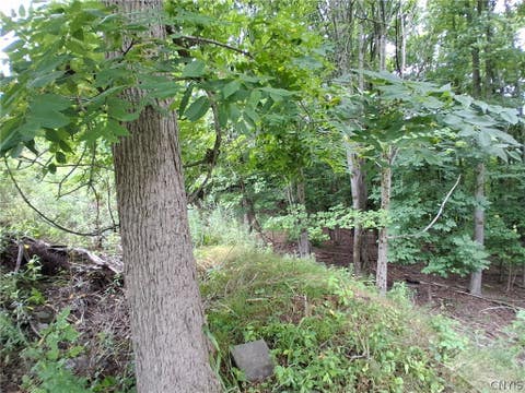 Tiny photo for 108 Skye Island Drive, Union, NY 13760 (MLS # S1702868)