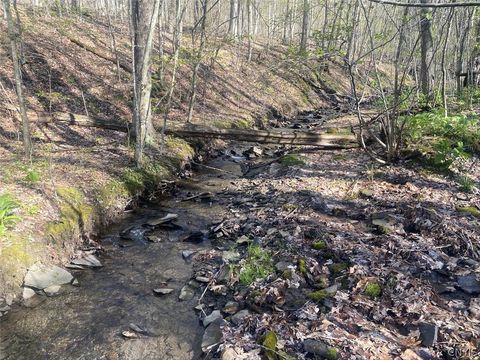 Vacant Land For Sale - 5492 Pigtail Road<br/> Allegany County, Friendship, NY 14739