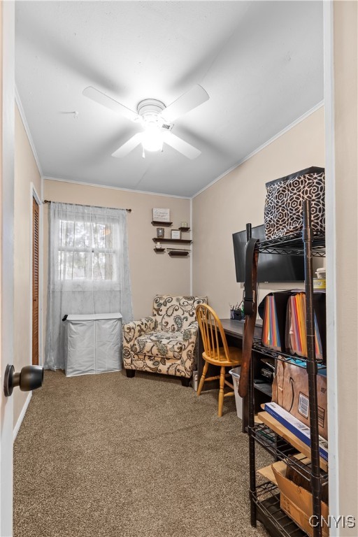 37 Waterbury Drive, Clay, New York image 23