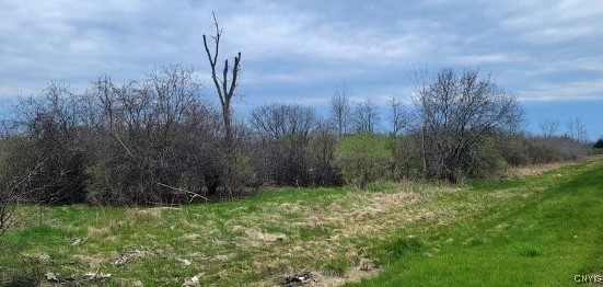 3350 Bedford Corners Road, Cape Vincent, New York image 14