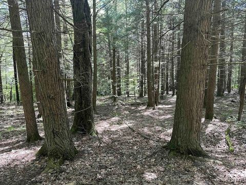 Vacant Land For Sale - 360 Ives Hill Road<br/> Afton, NY 13730