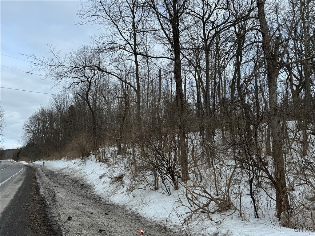 Route 12 B, Madison, New York image 2