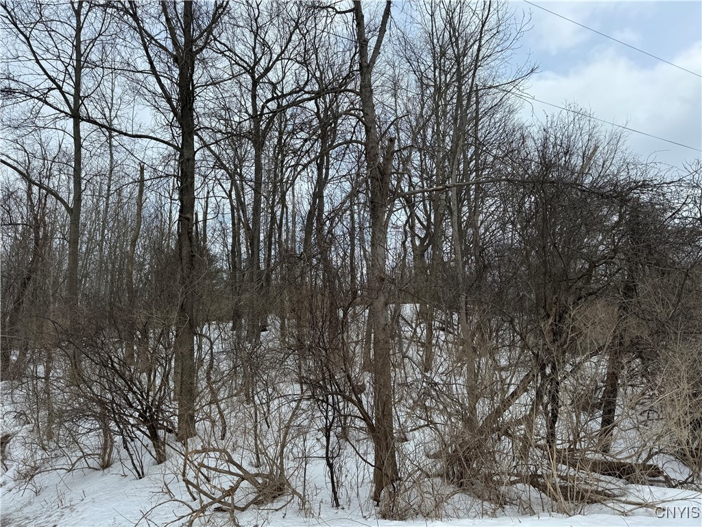 Route 12 B, Madison, New York image 1