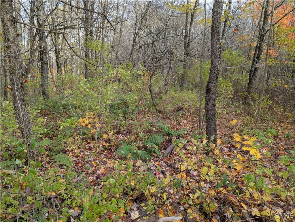 Photo of Ryan Road, Osceola, NY 13493 (MLS # S1652748)