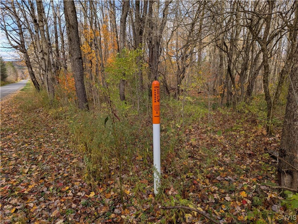 Photo of Ryan Road, Osceola, NY 13493 (MLS # S1652748)