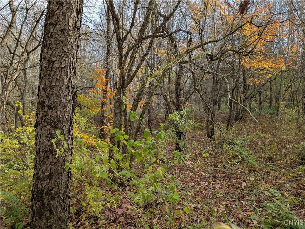 Photo of Ryan Road, Osceola, NY 13493 (MLS # S1652748)