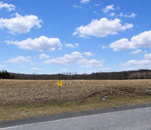 00 Skinner Lot 3 Road Richfield Springs NY 13439