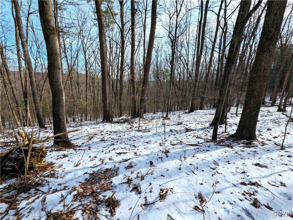 Markle Hollow Road, Corning, New York image 36