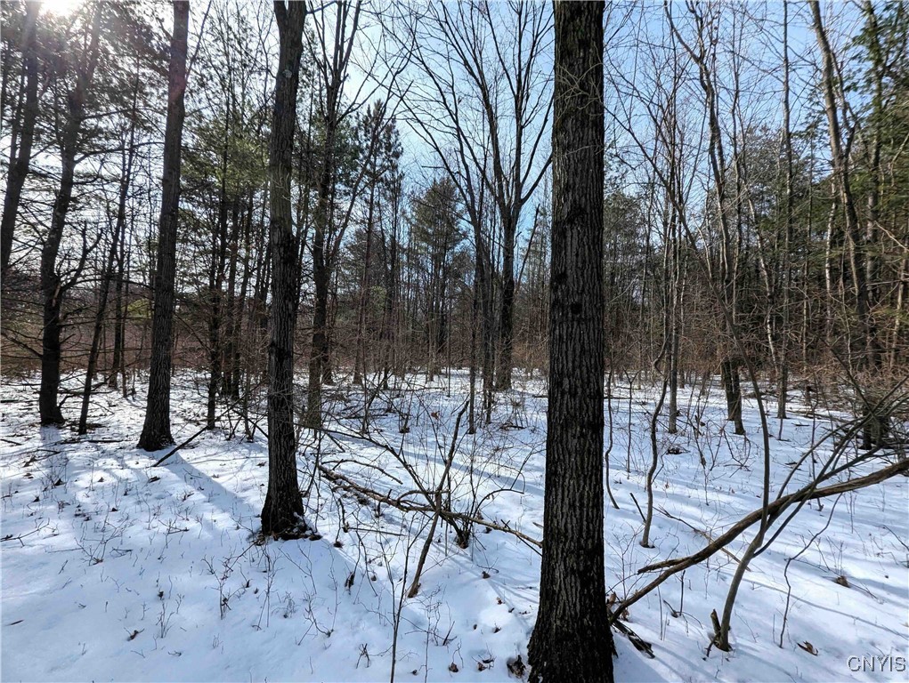 Markle Hollow Road, Corning, New York image 22