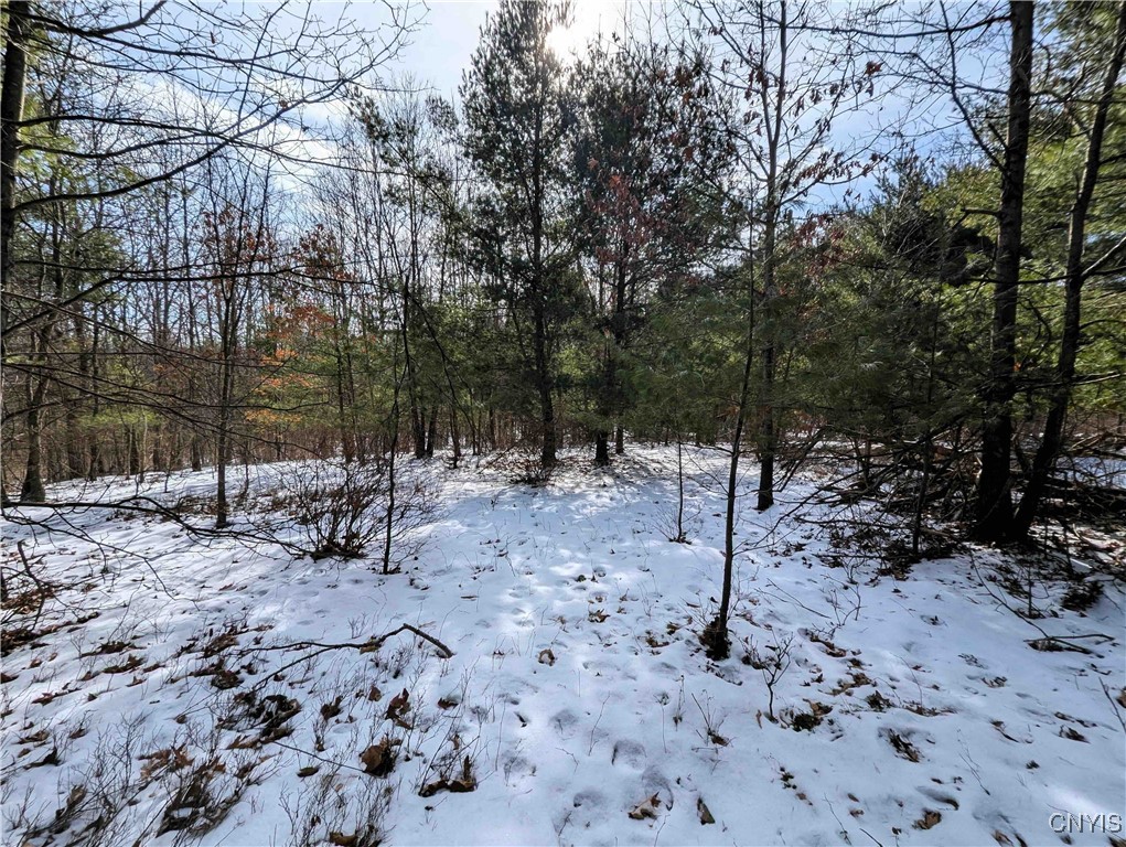 Markle Hollow Road, Corning, New York image 24