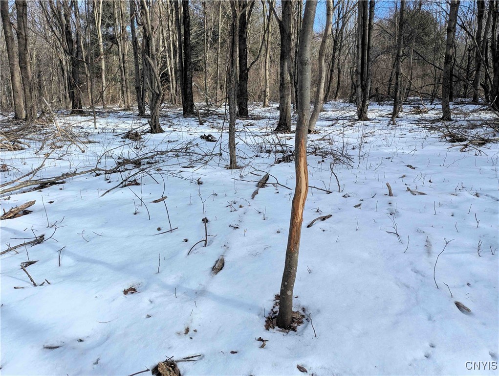 Markle Hollow Road, Corning, New York image 18