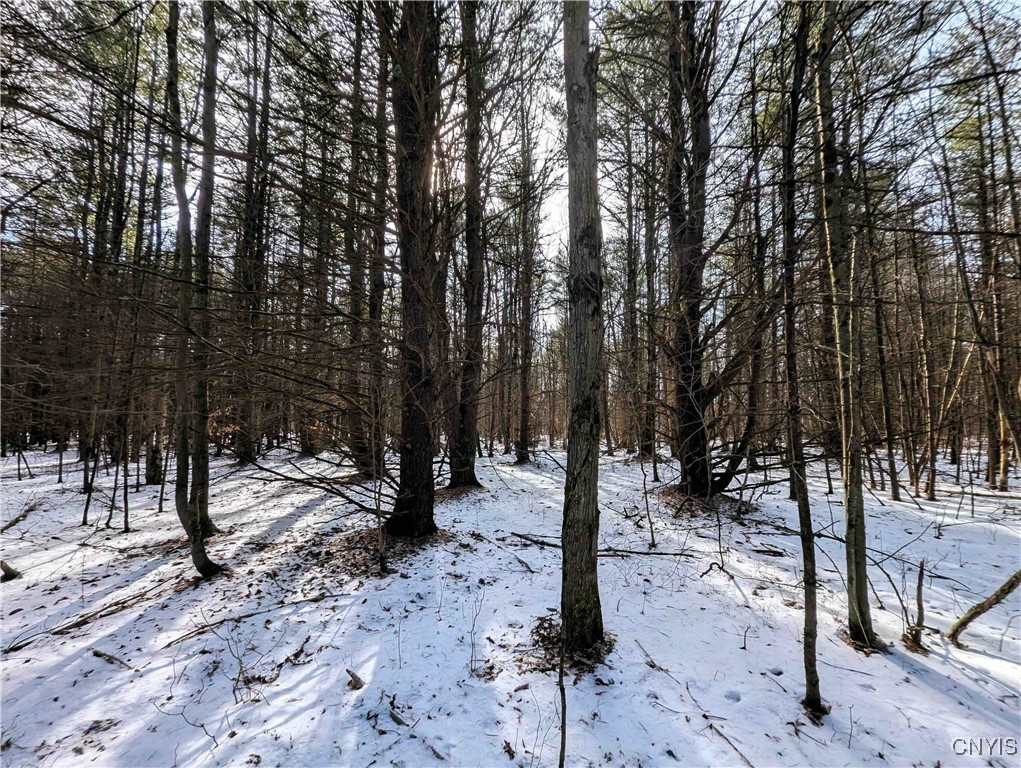 Markle Hollow Road, Corning, New York image 1