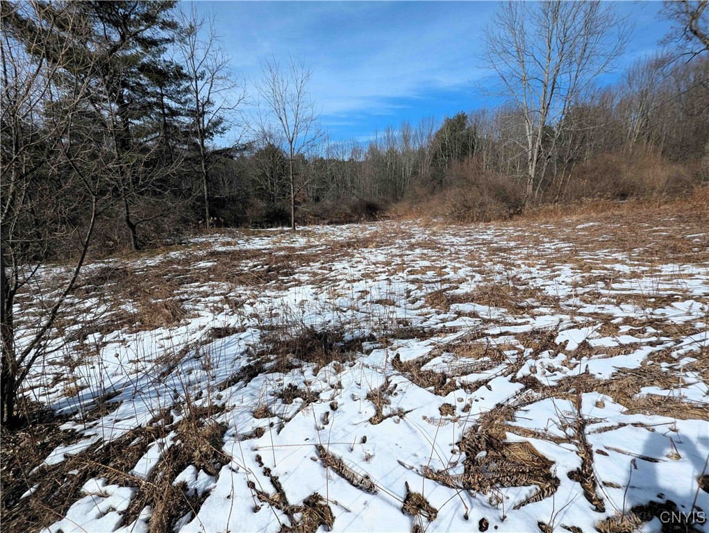 Markle Hollow Road, Corning, New York image 7