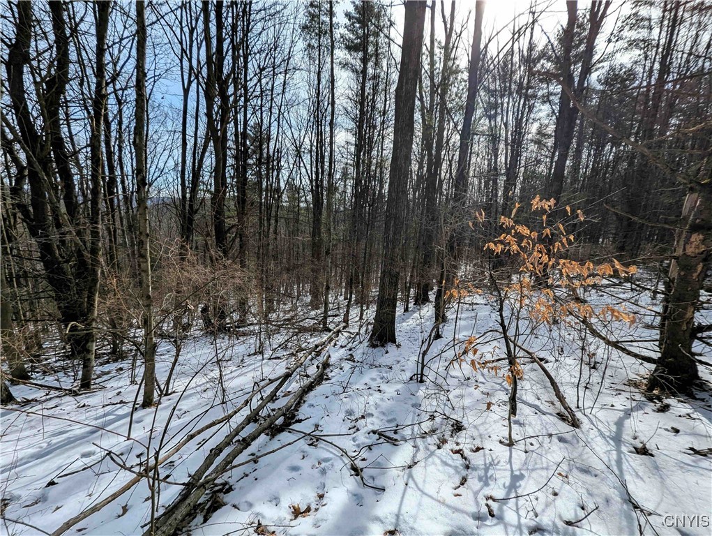 Markle Hollow Road, Corning, New York image 29