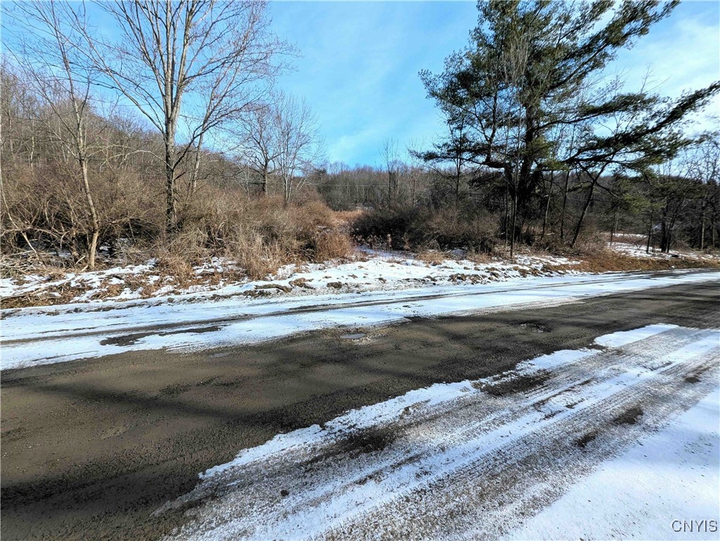 Markle Hollow Road, Corning, New York image 5