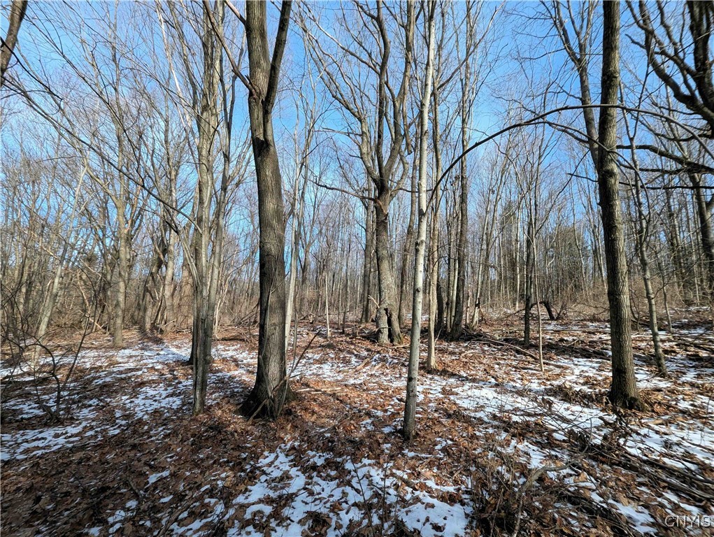 Markle Hollow Road, Corning, New York image 12