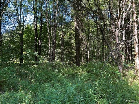 Vacant Land For Sale - 33 Austin Road<br/> Oswego County, Albion, NY 13302