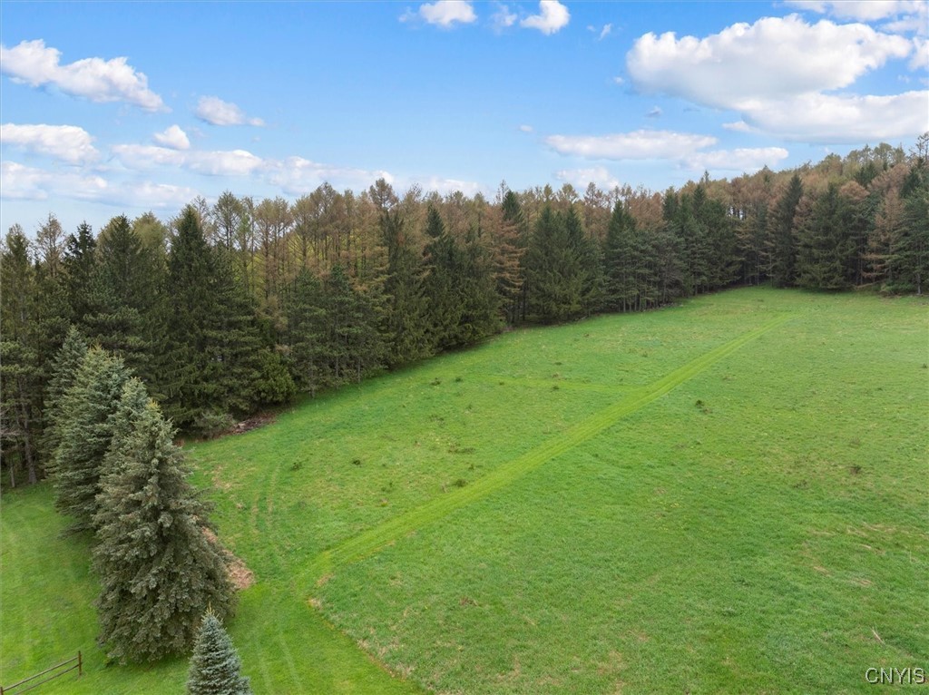 Bonney Hill Road, Hamilton, New York image 16