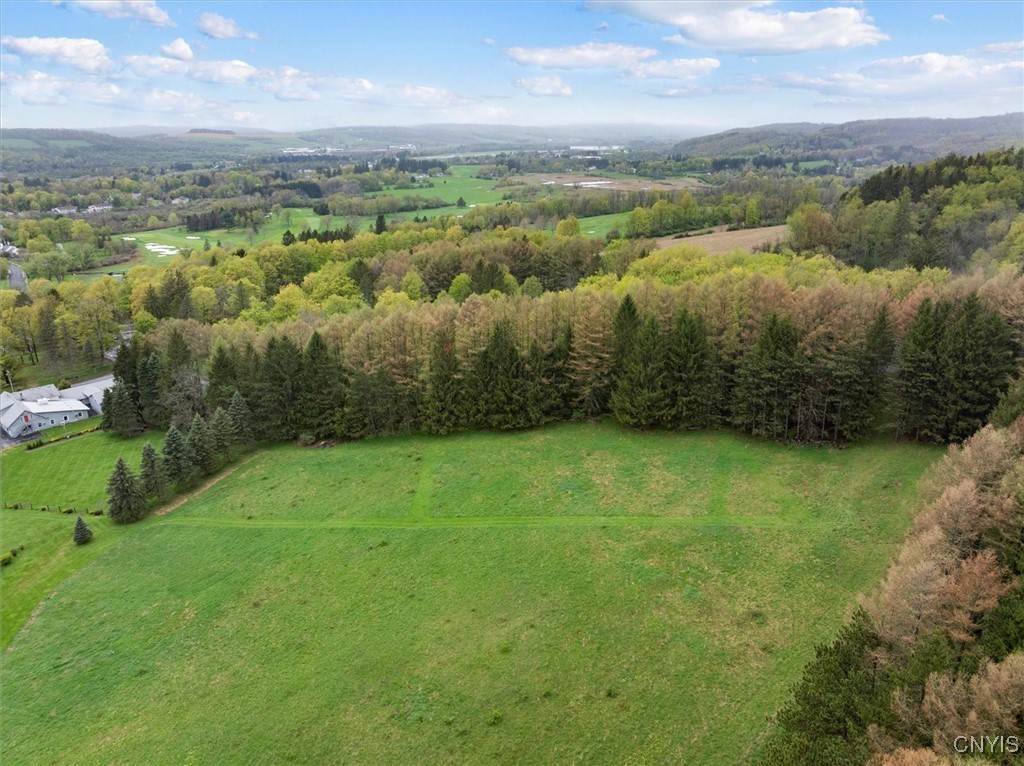 Bonney Hill Road, Hamilton, New York image 14