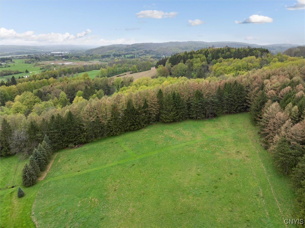 Bonney Hill Road, Hamilton, New York image 13