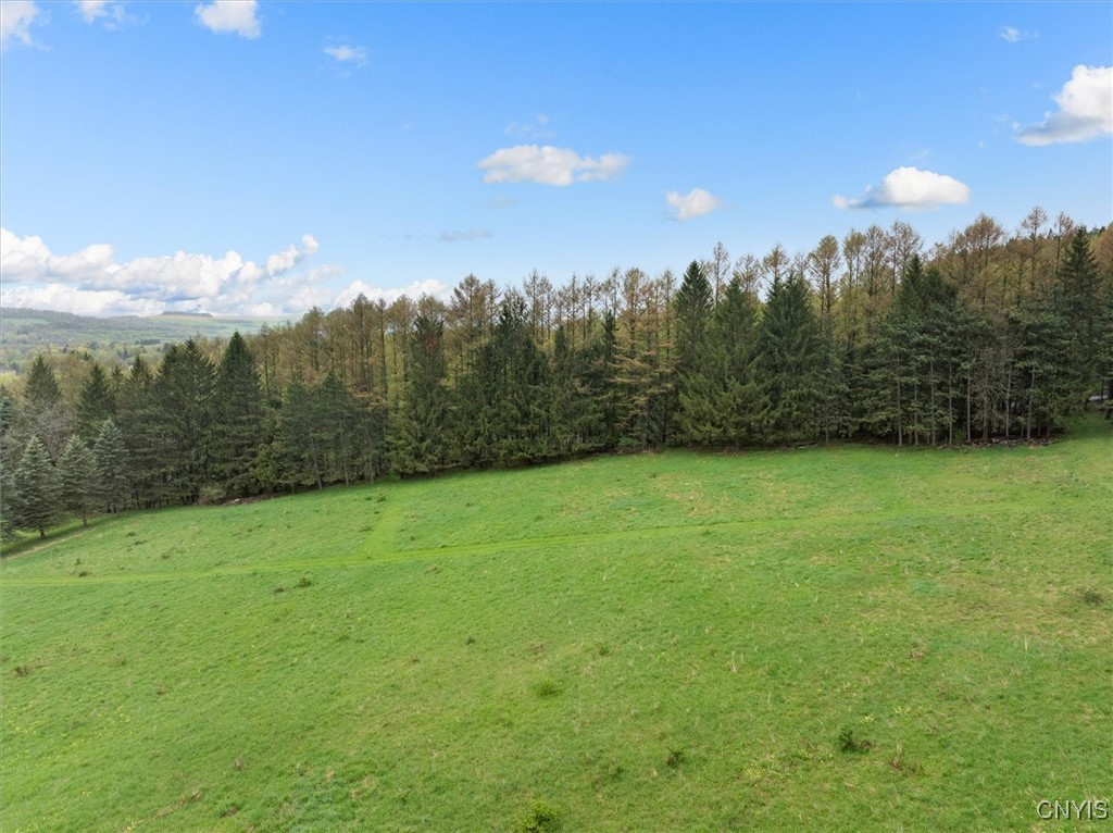 Bonney Hill Road, Hamilton, New York image 9