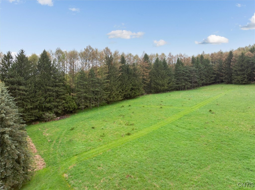 Bonney Hill Road, Hamilton, New York image 15