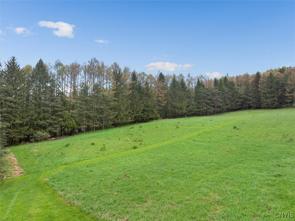 Bonney Hill Road, Hamilton, New York image 17