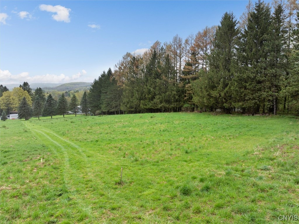 Bonney Hill Road, Hamilton, New York image 10