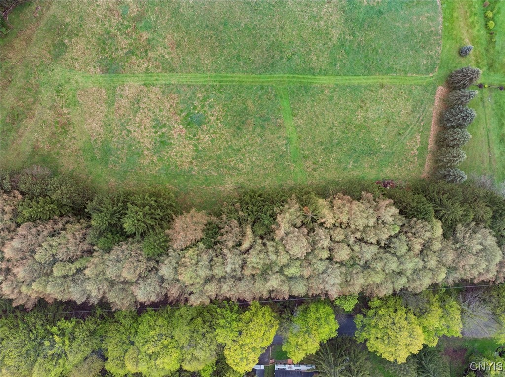 Bonney Hill Road, Hamilton, New York image 3