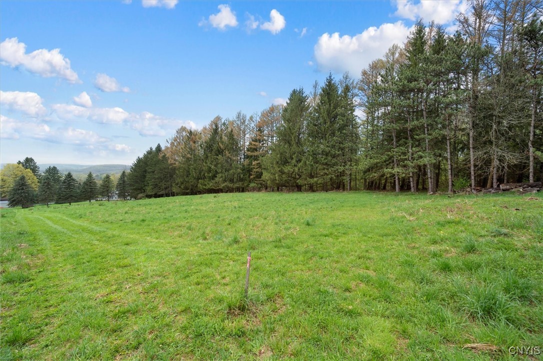Bonney Hill Road, Hamilton, New York image 18