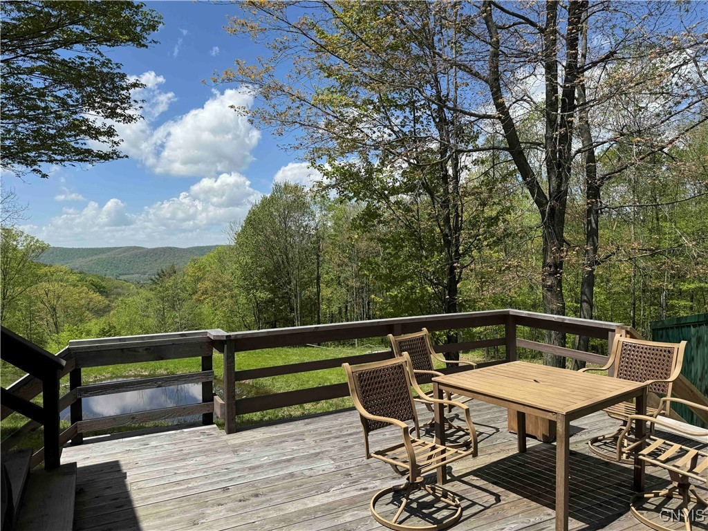 8322 Jordan Hill Road, Clarksville, New York image 35