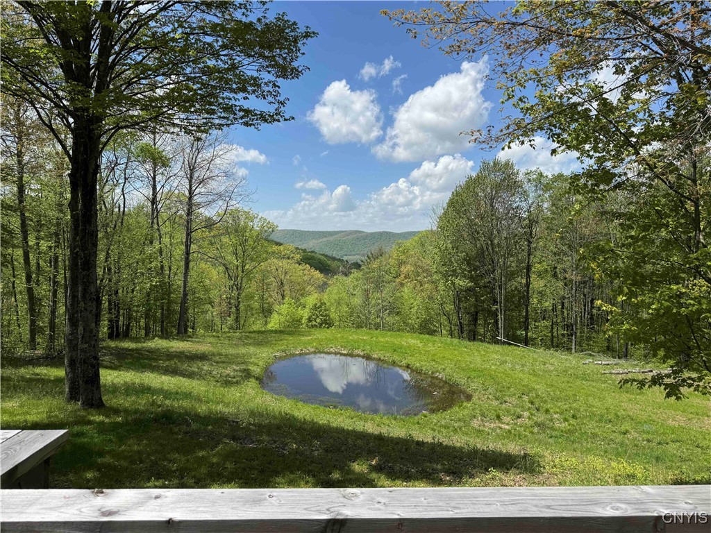 8322 Jordan Hill Road, Clarksville, New York image 41