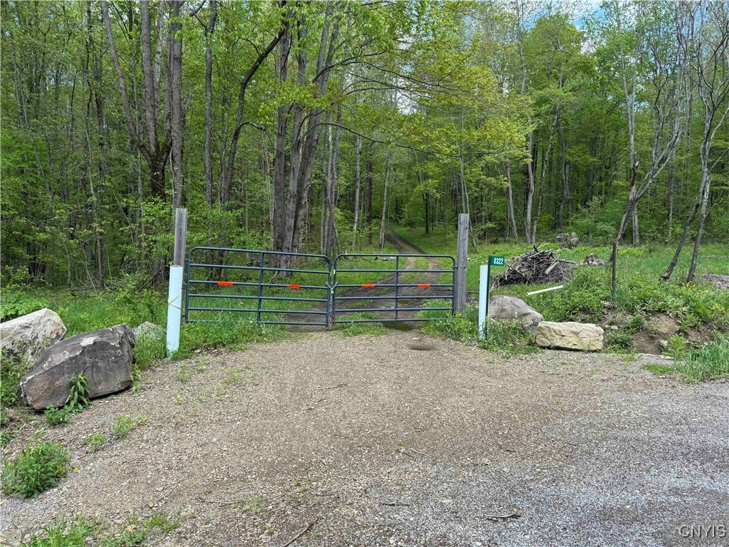 8322 Jordan Hill Road, Clarksville, New York image 47