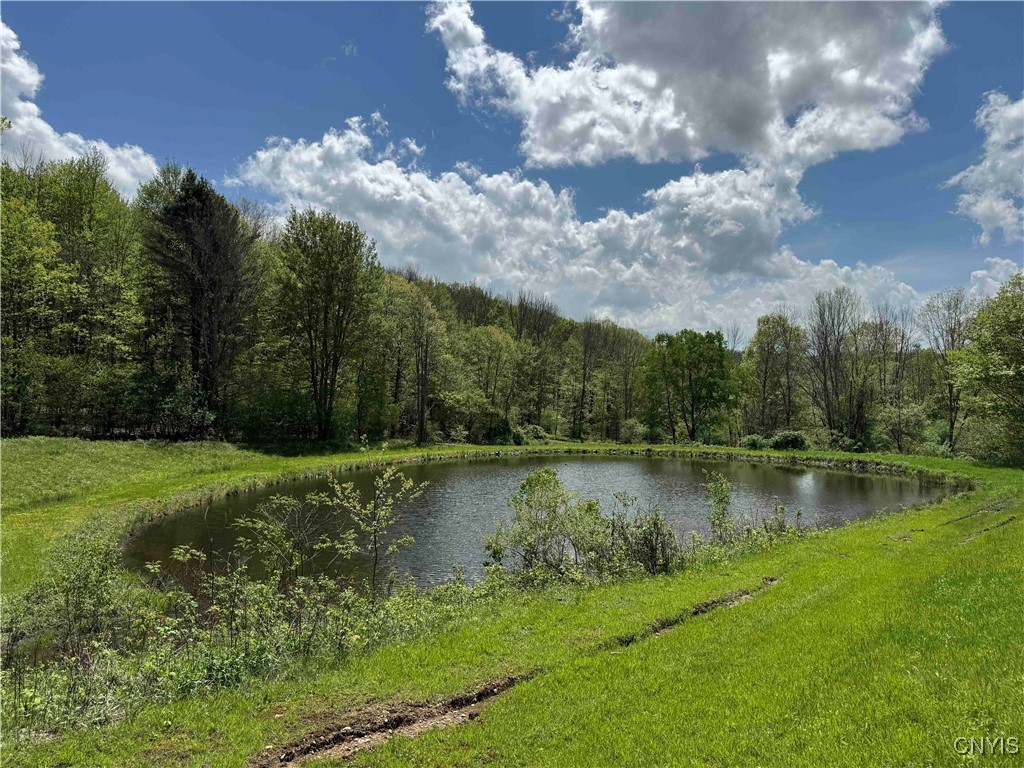 8322 Jordan Hill Road, Clarksville, New York image 42