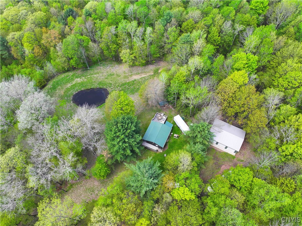 8322 Jordan Hill Road, Clarksville, New York image 40