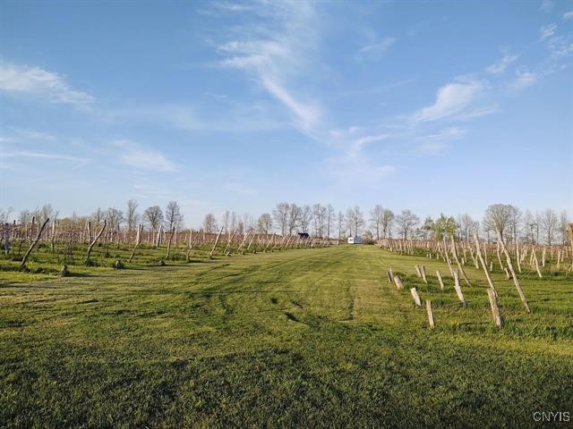 2989 County Route 6, Morristown, New York image 45