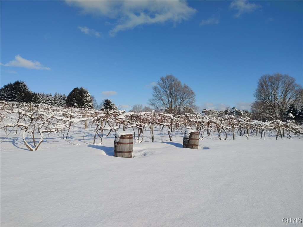 2989 County Route 6, Morristown, New York image 47