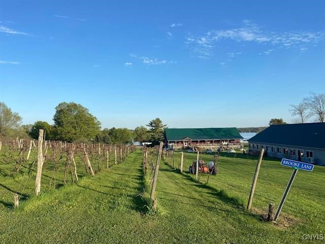 2989 County Route 6, Morristown, New York image 44
