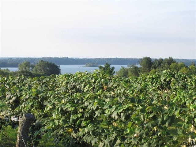 2989 County Route 6, Morristown, New York image 42