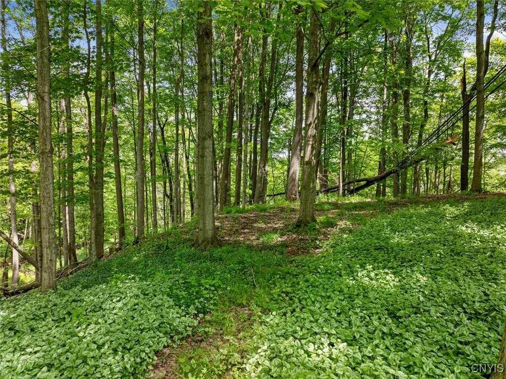 9217 Red Hill Road, New Hartford, New York image 15