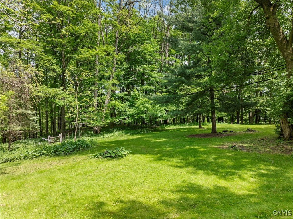 9217 Red Hill Road, New Hartford, New York image 9