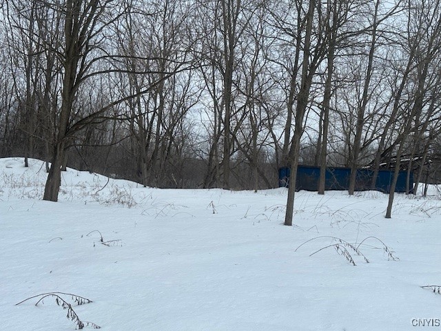 10896 Baker Road, Cato, New York image 3