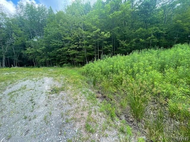 2010 Thermopylae Drive