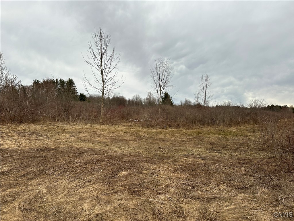 9853 Hazard Road, Marcy, New York image 3