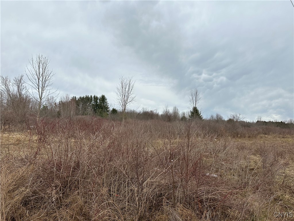 9853 Hazard Road, Marcy, New York image 4